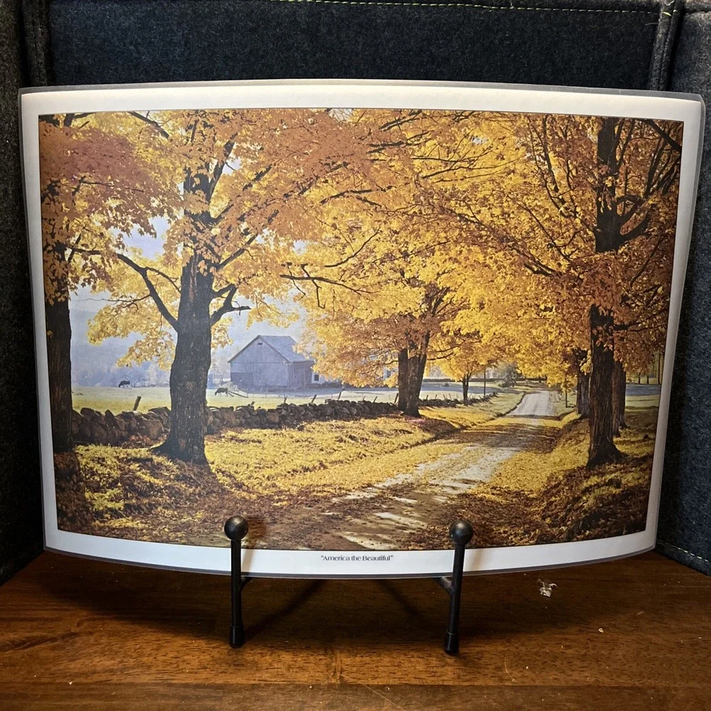 AMERICA THE BEAUTIFUL Bright Of America Reversible 6 Placemats Vtg Appx‎ 18x12